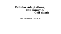 Cellular Adaptations.pptx